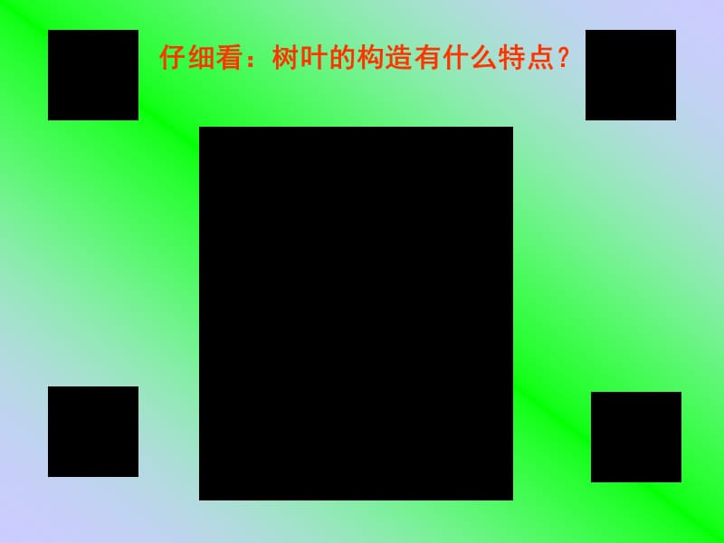 轴对称图形2.ppt_第2页