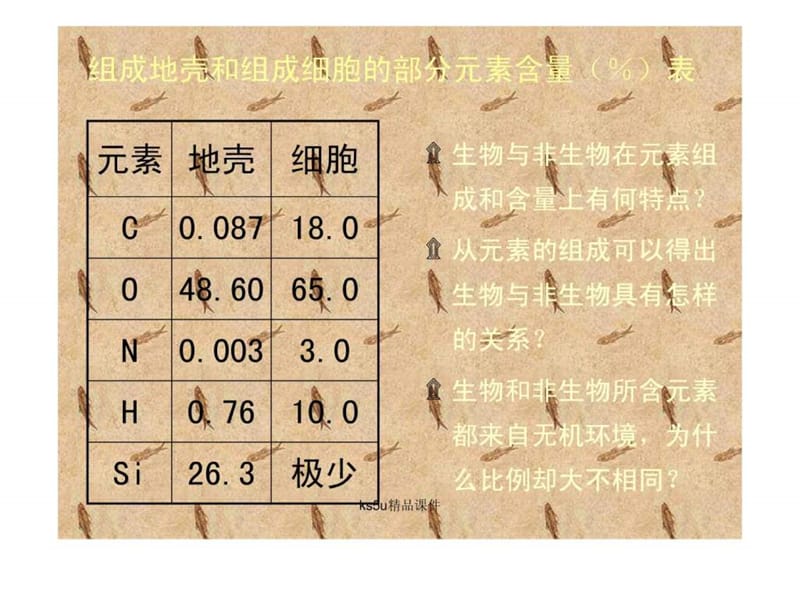 必修1细胞的化学组成(中图版)(ks5u高考资源网)29.ppt_第2页