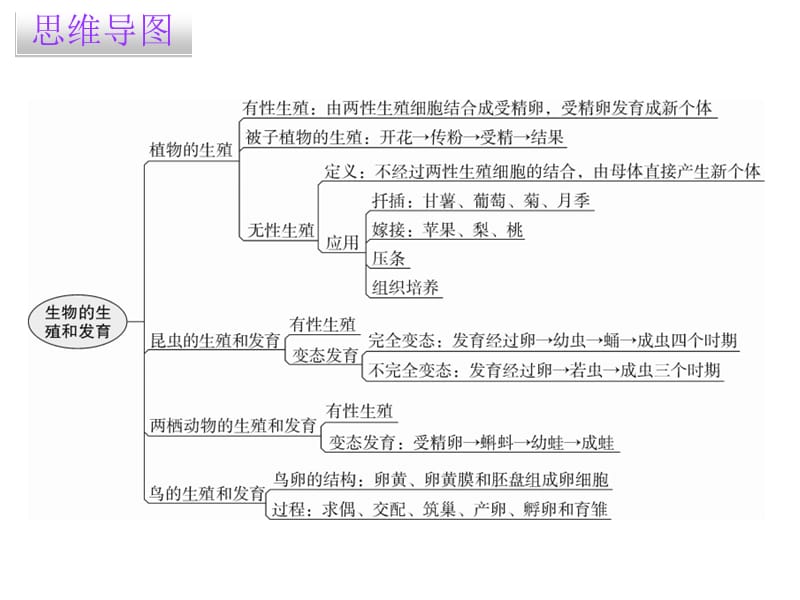 2018-2019学年八年级生物人教版课堂十分钟课件：7.1章 章末总结(共25张PPT).ppt_第2页