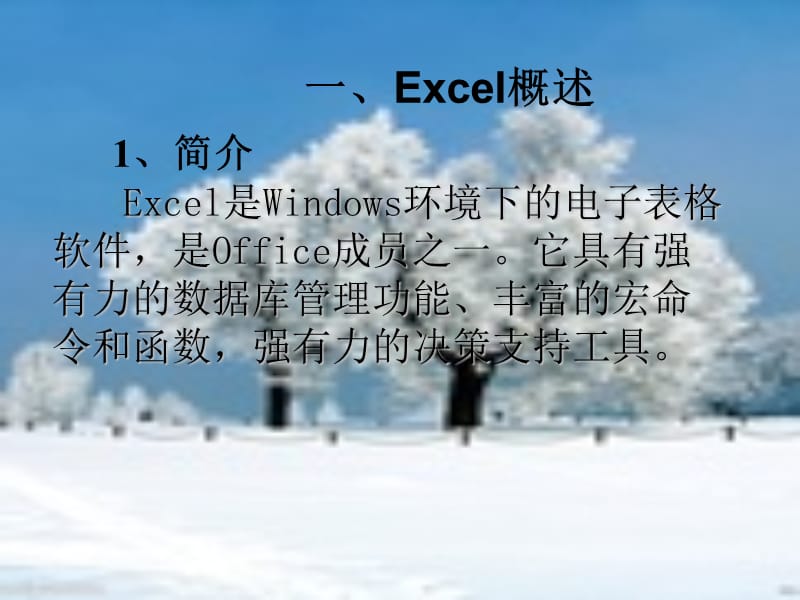 一、Excel概述.ppt_第1页