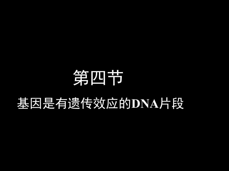 3.4《基因是有遗传效应的DNA片段》课件钟永东.ppt_第1页