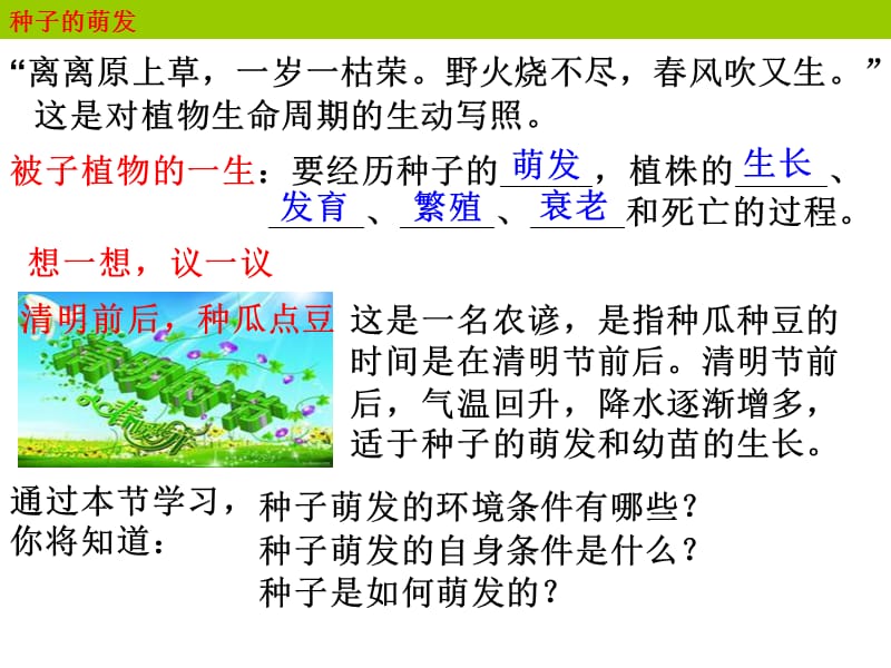 2018人教版生物七年级上册3.2.1《种子的萌发》课件(共12张PPT).ppt_第2页