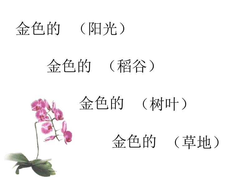 2金色的草地》PPT课件.ppt.ppt_第2页