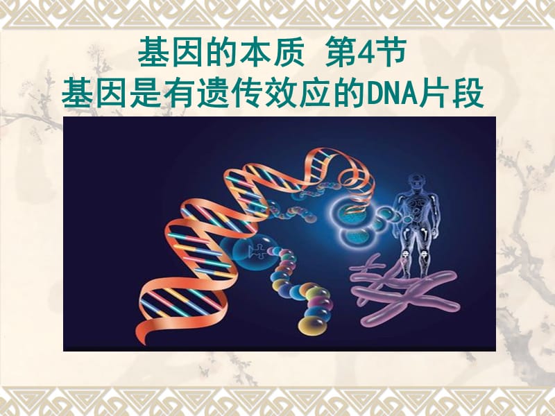 3.4《基因是有遗传效应的DNA片段》》课件高亨波.ppt_第1页