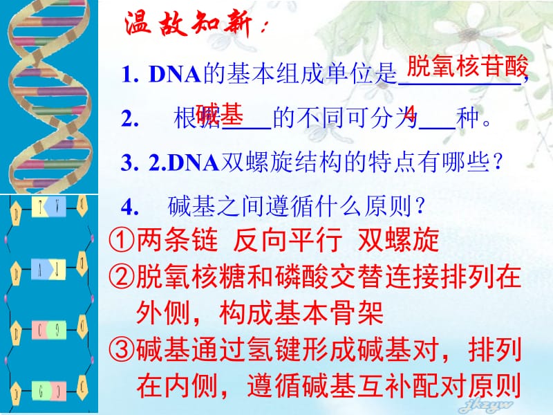 2018中图版高中生物必修二3.1.3《DNA的复制》课件(共33张PPT).ppt_第1页