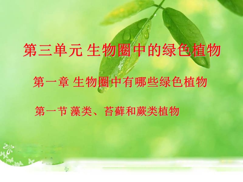 藻类苔藓和蕨类植物.ppt_第1页