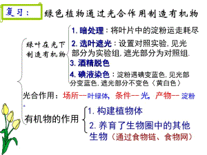 2018人教版生物七年级上册3.5.1《光合作用吸收二氧化碳释放氧气》课件(共39张PPT).ppt