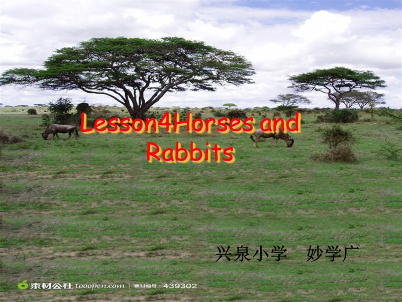 三年级英语下册_Lesson_4_Horses_and_Rabbits课件_(新版)冀教版.ppt_第1页