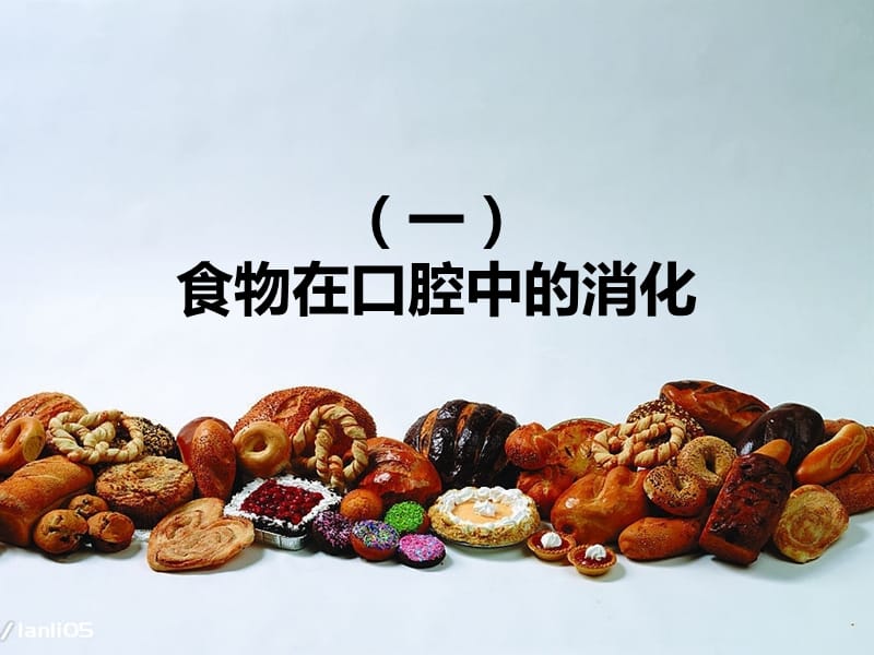 七年级下第一章第二节食物的消化.ppt_第1页