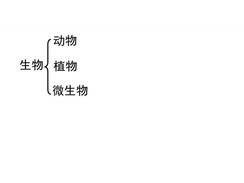 第四章生物分类49.ppt_第1页