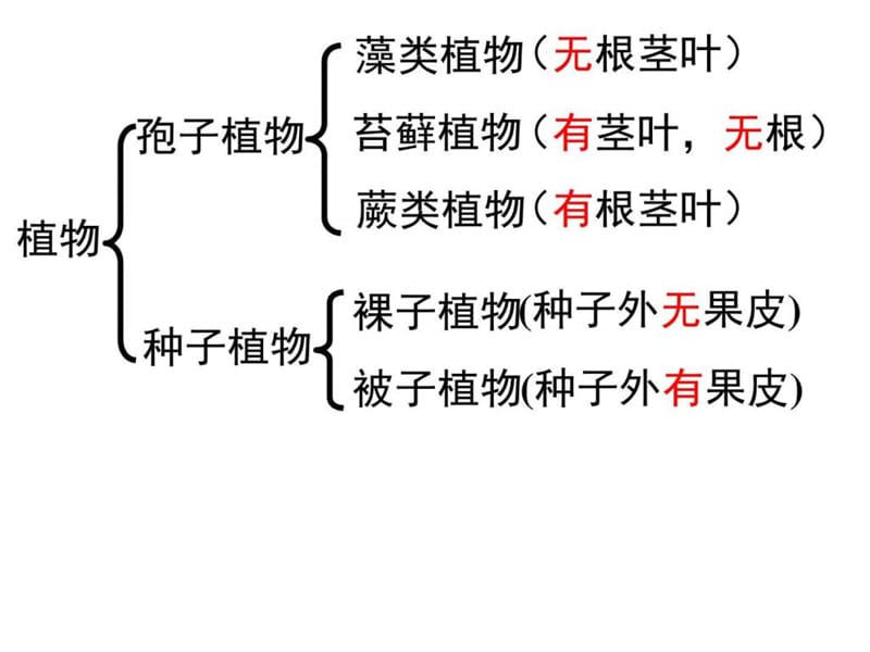 第四章生物分类49.ppt_第2页