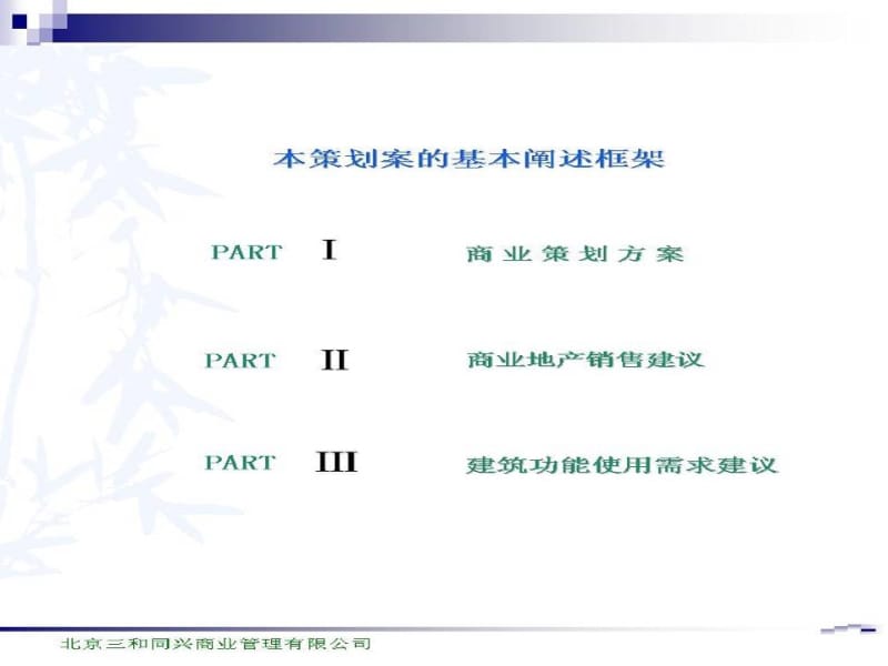 滨洲国贸新天地商业策划全案.ppt_第2页