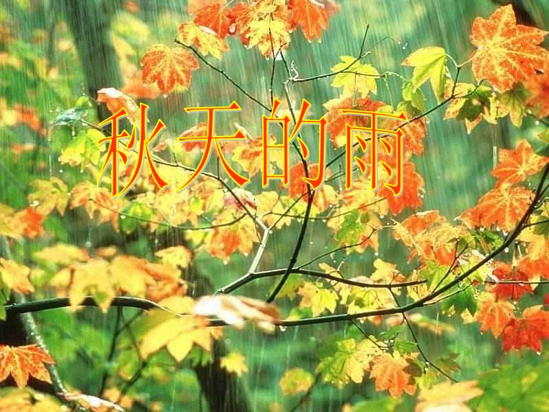 三年级《秋天的雨》课件.ppt_第1页