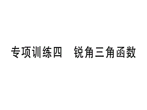 2018-2019学年九年级数学湘教版下册课件：专项训练四 锐角三角函数 (共23张PPT).ppt