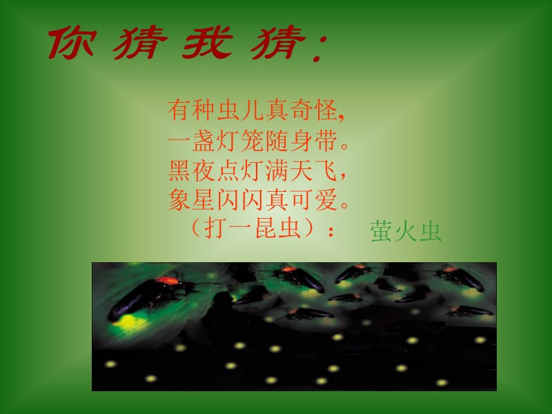 绿色蝈蝈(方琼公开课).ppt_第1页