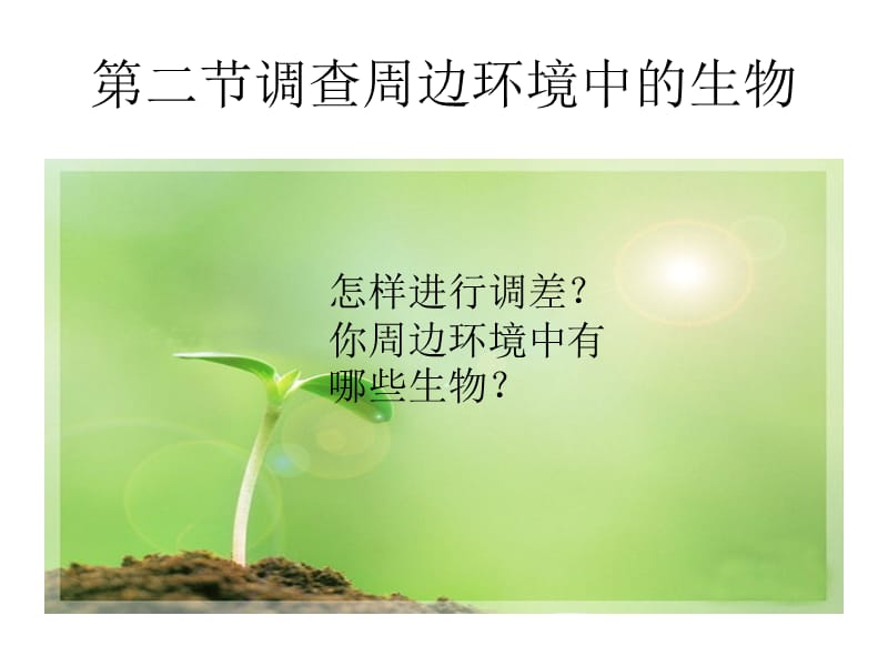 调查周边环境中的生物(新课本).ppt_第1页