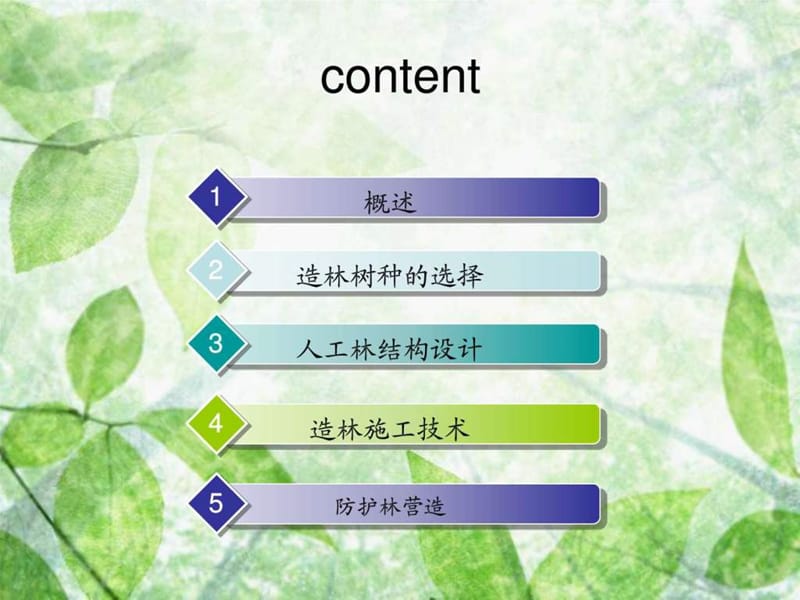 第五章、森林营造图文.ppt49.ppt_第2页