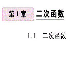 2018-2019学年九年级数学湘教版下册课件：1.1 二次函数(共13张PPT).ppt