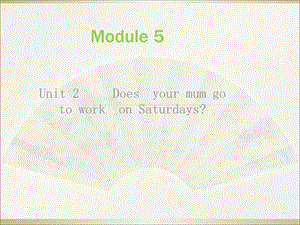 《Unit2DoesyourmumgotoworkonSaturdays》ppt课件3.ppt