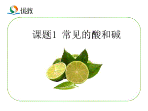 《常见的酸和碱》教学课件.ppt