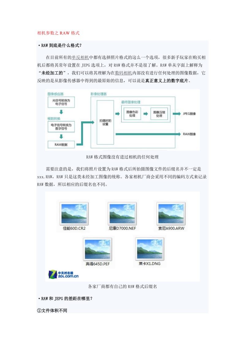 [物理]从零开始玩单反.doc_第1页