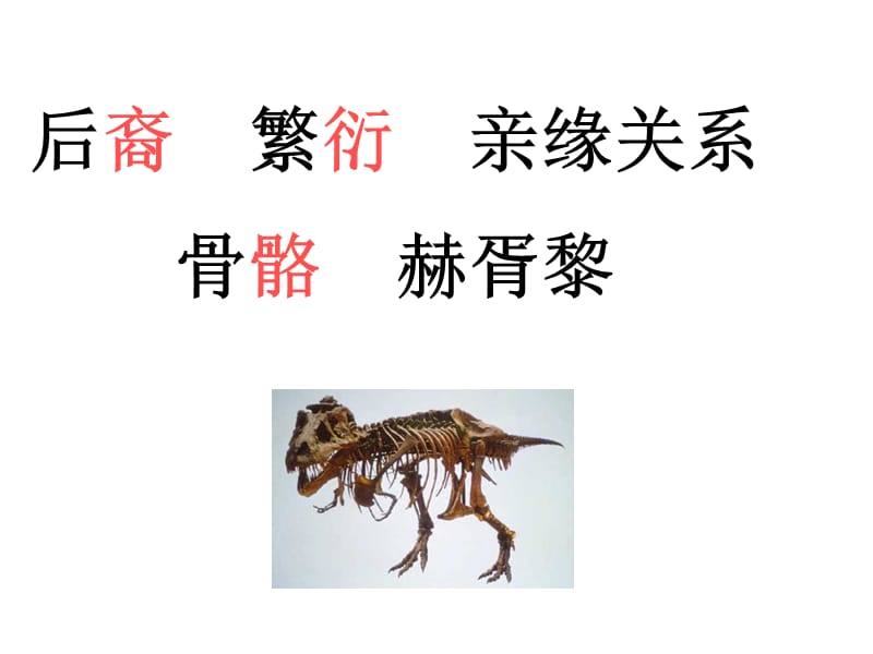 飞向蓝天的恐龙 (3).ppt_第2页