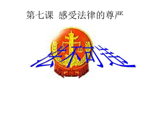 《法不可违》.ppt