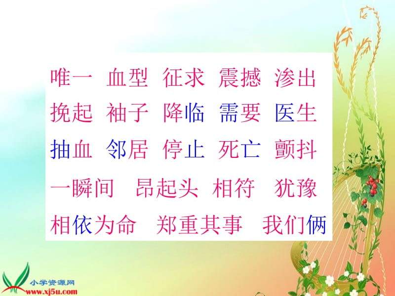 《平分生命》PPT课件.ppt_第3页