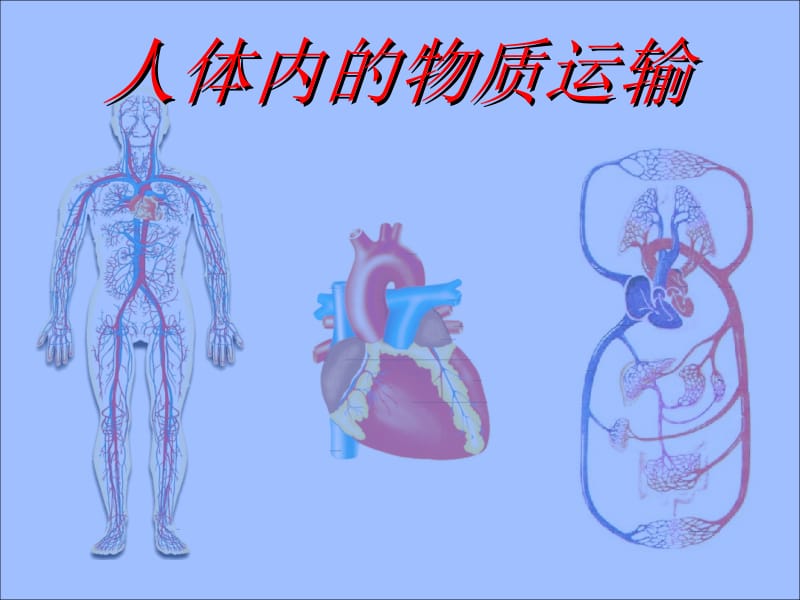 《人体内物质的运输》复习课件.ppt_第1页