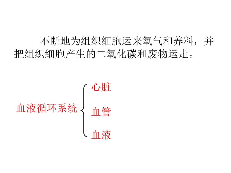 《人体内物质的运输》复习课件.ppt_第2页