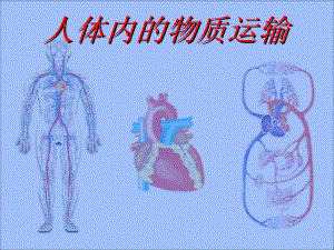 《人体内物质的运输》复习课件.ppt