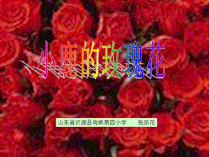 《小鹿的玫瑰花》课件(1)_1.ppt