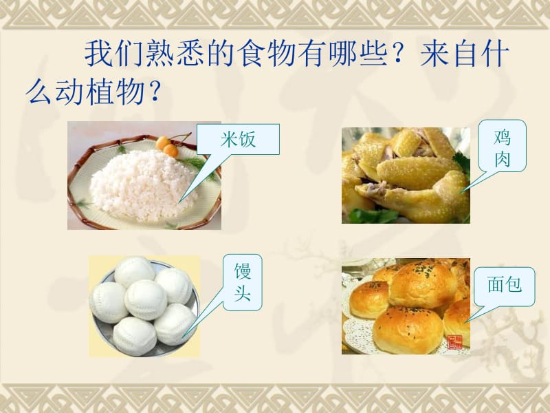 食物从哪里来.ppt_第2页