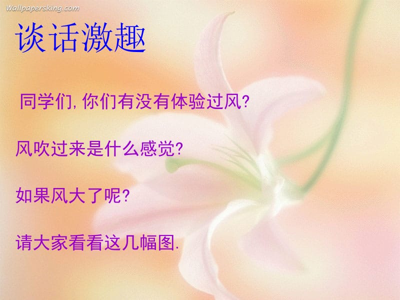 风娃娃课件.ppt.ppt_第2页