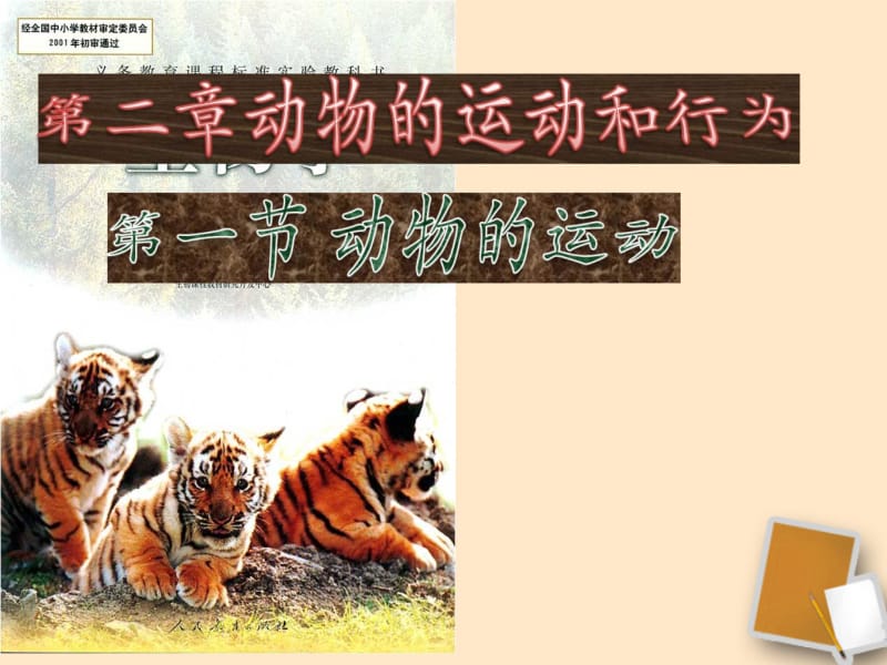 《动物的运动》课件.ppt_第1页