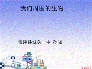 《我们周围的生物》课件孙晓.ppt