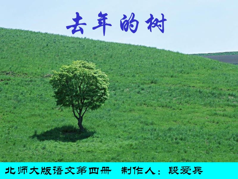 《去年的树》段爱兵.ppt_第1页