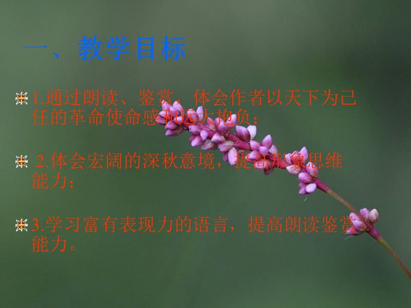 《沁园春长沙》课件.ppt_第2页