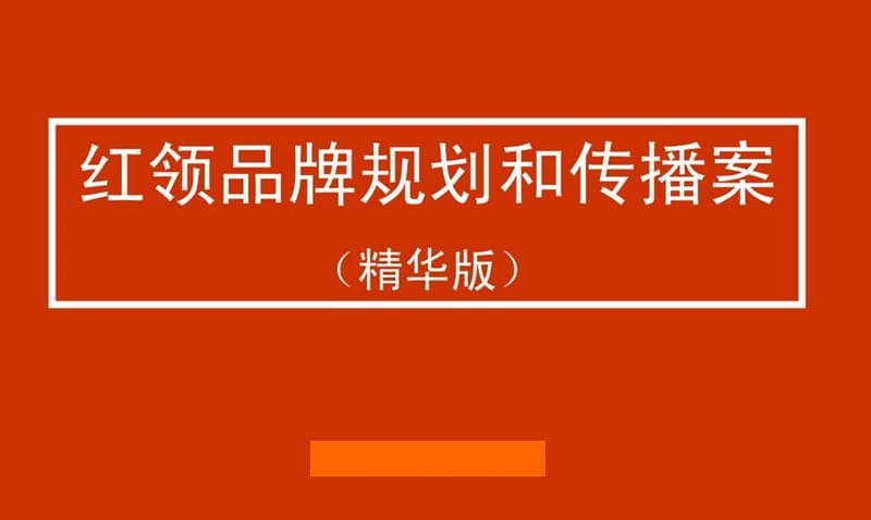 红领服装品牌战略规划策划方案.ppt_第2页