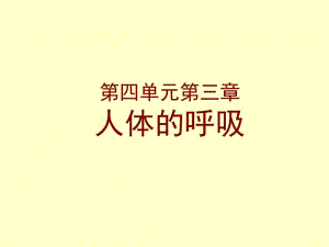 《人体的呼吸》.ppt