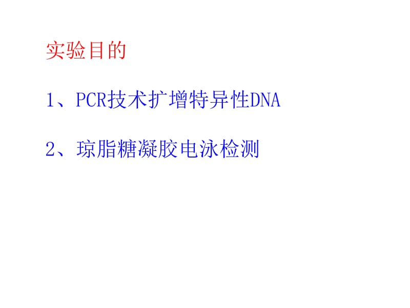 PCR实验教学组织.ppt_第3页