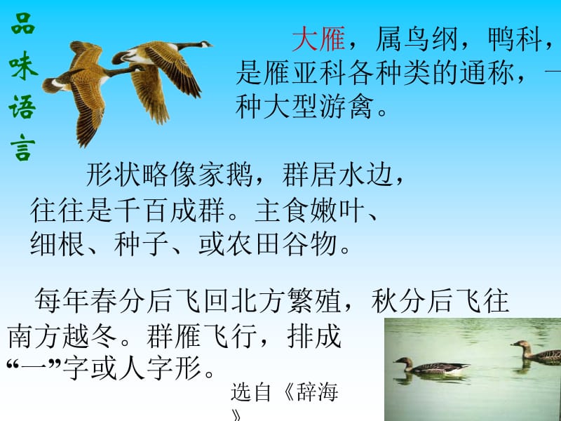 《大雁归来》课件.ppt_第3页