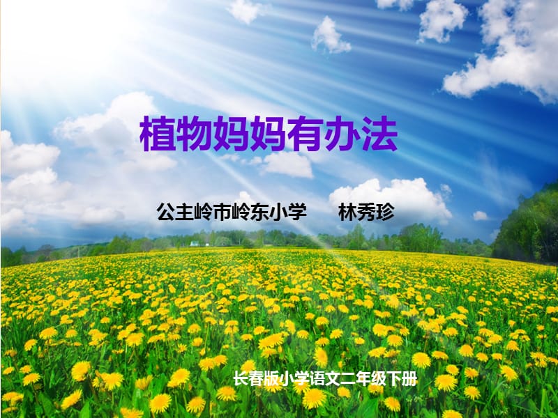 《植物妈妈有办法》 (2).ppt_第1页