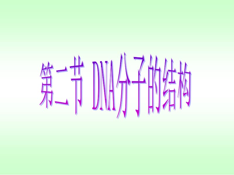 DNA的结构、复制.ppt_第2页