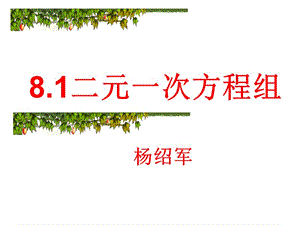 《二元一次方程组》ppt课件1.ppt