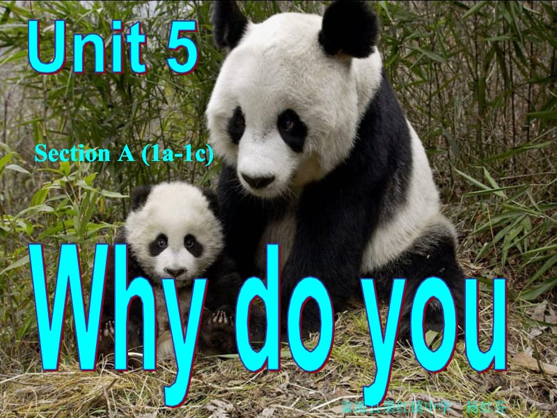 Unit5sectiona课件.ppt_第1页