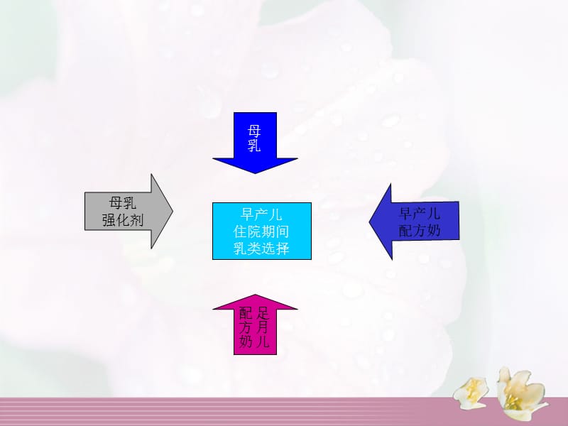 [临床医学]早产儿肠内营养.ppt_第3页