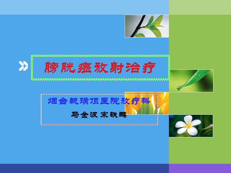 [临床医学]膀胱癌.ppt_第1页