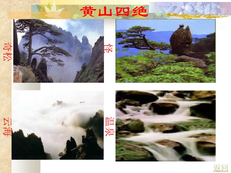 《黄山奇松》教学课件.ppt_第2页