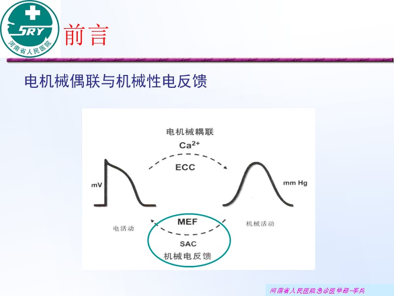 [临床医学]房颤与机械性电反馈.ppt_第2页